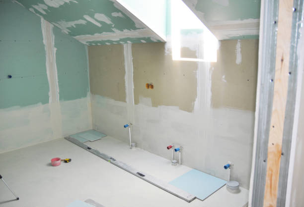 Best Residential Mold Inspection & Testing  in Holland, MI