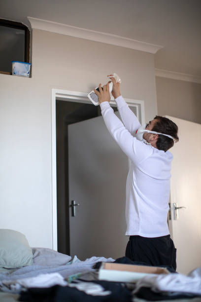 Holland, MI Mold Removal Company