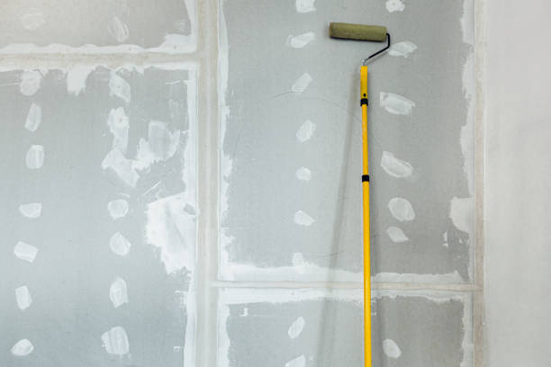 Forensic Mold Investigation in Holland, MI
