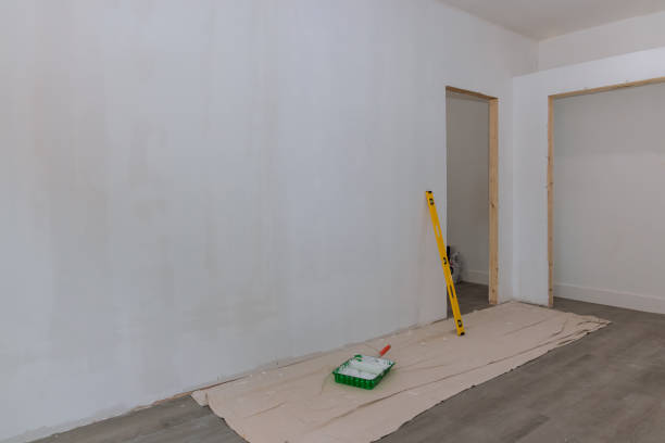 Best Mold Odor Removal Services  in Holland, MI