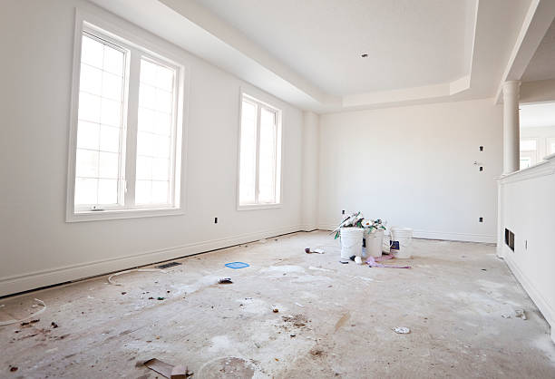 Best Industrial Mold Remediation  in Holland, MI