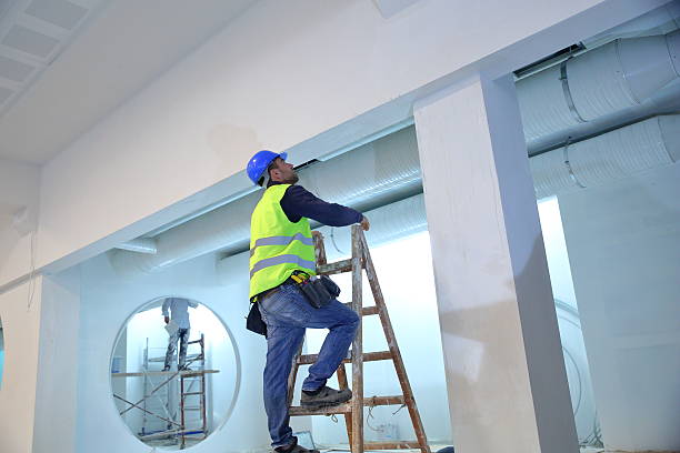 Best HVAC Mold Inspection and Cleaning  in Holland, MI